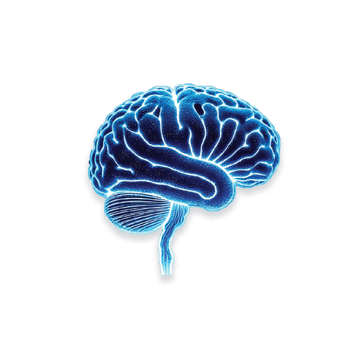 The Behavioural Mind